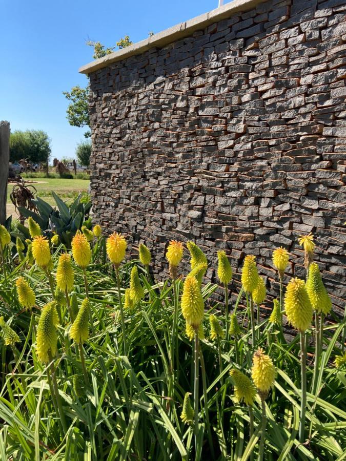 The Vaal Guesthouse Oranjeville ภายนอก รูปภาพ