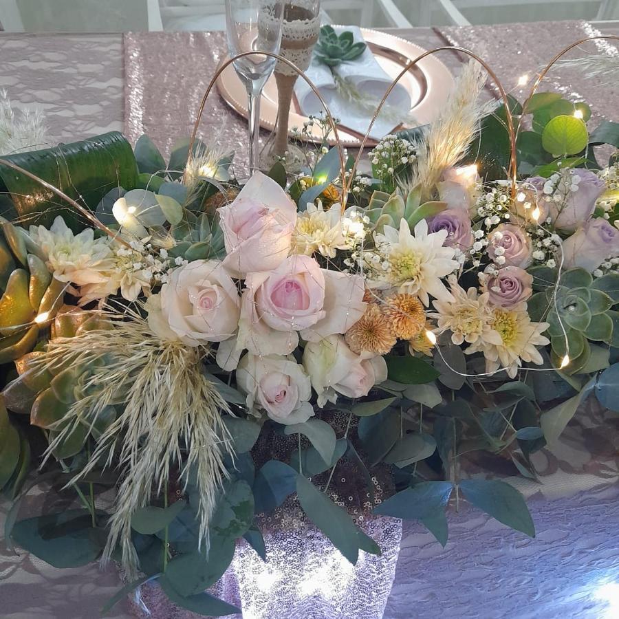 The Vaal Guesthouse Oranjeville ภายนอก รูปภาพ